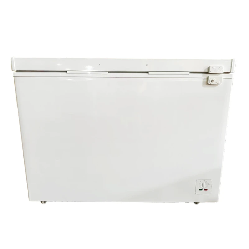 65mm Foaming Thickness Normal 12v/24v Solar Chest Freezer Single Door BD/BC-308
