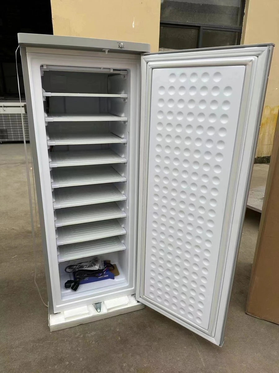 BD-198-10 ice block making machine with the door open, ten plates visible