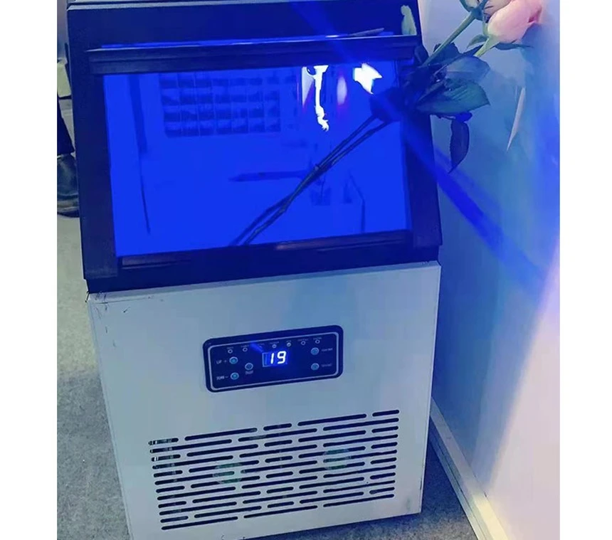 Cube grid and ice bin inside the IM-30